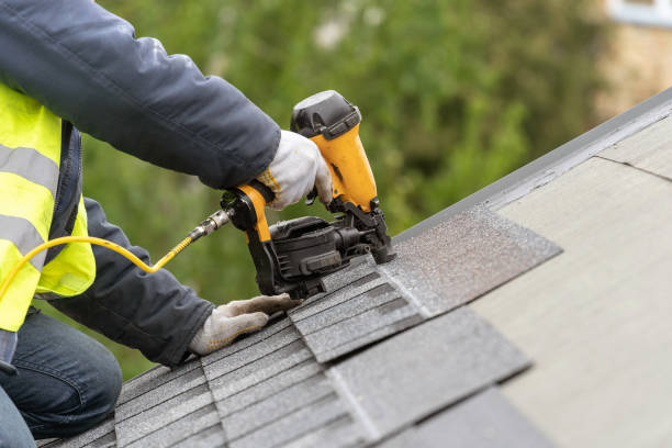 Best Sheet Metal Roofing  in Buenaventura Lakes, FL