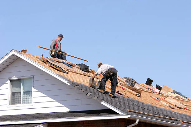 Best Roof Insulation Installation  in Buenaventura Lakes, FL
