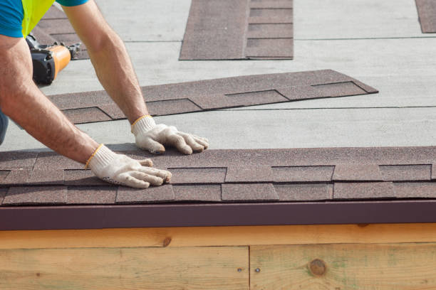 Best Asphalt Shingles Roofing  in Buenaventura Lakes, FL
